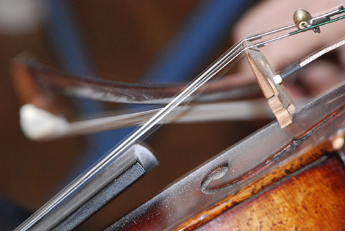 fiddle