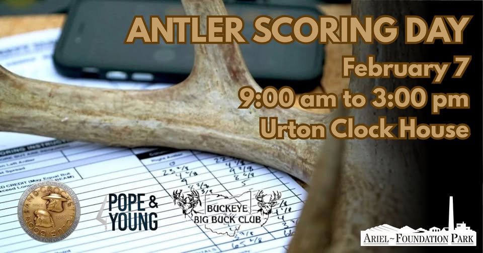 AntlerScoring26